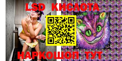 стаф Кулебаки