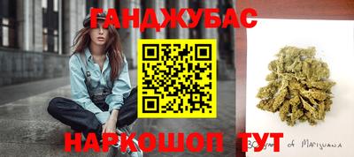 стаф Кулебаки