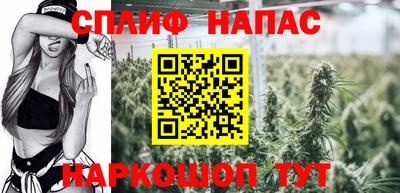 стаф Кулебаки