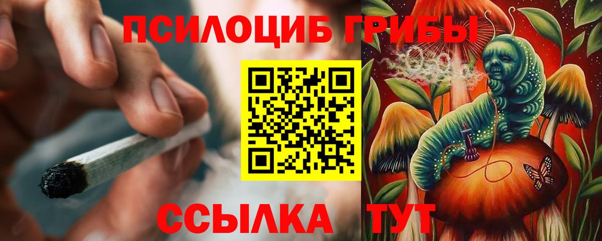 Каменск-Шахтинский  Псилоцибиновые грибы Psilocybine cubensis  Вход с VPN 