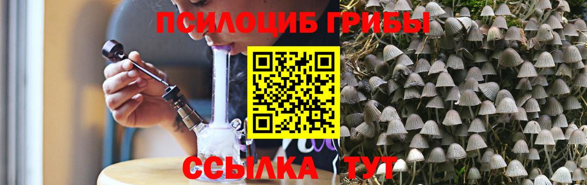 Галлюциногенные грибы прущие грибы Каменск-Шахтинский
